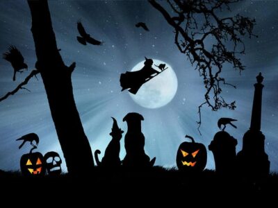 HSEC NEWS: Halloween Doesn’t Have to be Spooky for Your Pets; Keep their Safety in Mind