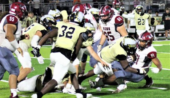 SEHS Mustangs Lose Heartbreaker to Wetumpka High 8-7; WHS Headed to Playoffs