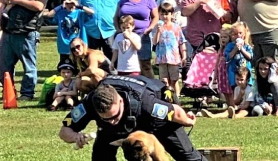 PHOTOS: Kids and Families Swarm to Village Green for Annual Cops and Kids Day Saturday