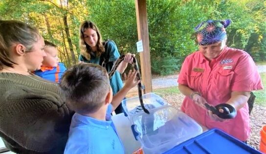 CREATURES OF THE NIGHT: Families Get an Up Close and Personal Look at some ‘Creepy Crawlies’ at ANC
