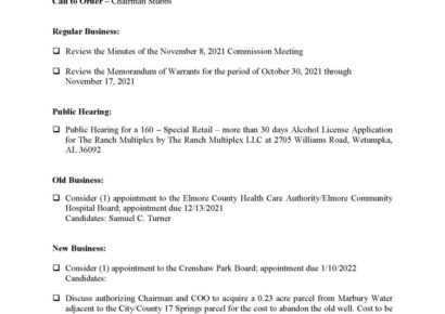 Elmore Commission Meeting Tonight; Full Agenda, Public Hearing on Alcohol License for The Ranch Multiplex