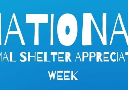 HSEC News: It is National Animal Shelter Appreciation Week!