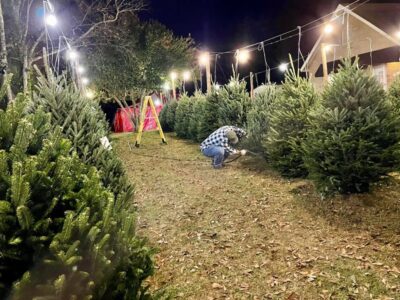 Live Christmas Trees: Opening Day at St. Michael and All Angels’ Tree Lot is Saturday