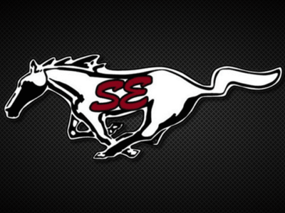 Thirty-One Fundraiser to benefit SEHS Volleyball Team through Sept. 17