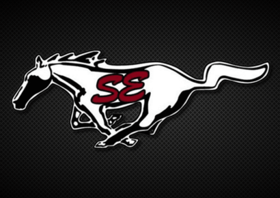 Thirty-One Fundraiser to benefit SEHS Volleyball Team through Sept. 17