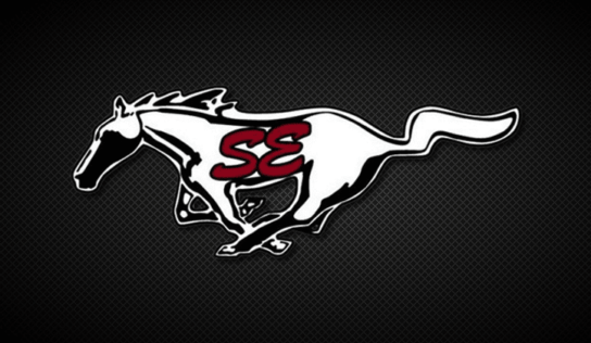 Thirty-One Fundraiser to benefit SEHS Volleyball Team through Sept. 17