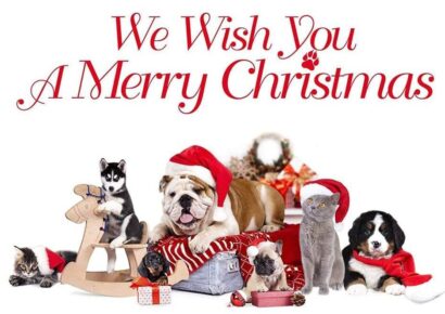 The HSEC Wishes All a Merry Christmas; Shelter Open for Adoptions through Thursday