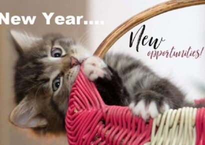 HSEC News: 10 New Year’s Resolutions for Pet Owners