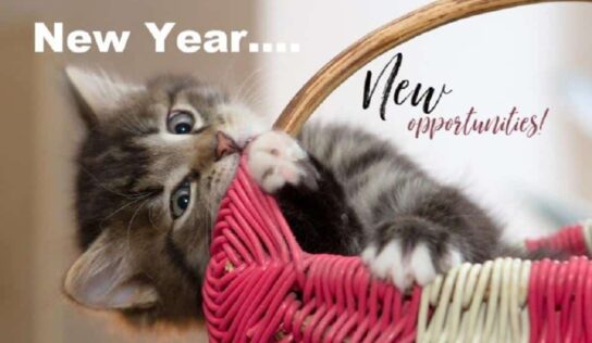 HSEC News: 10 New Year’s Resolutions for Pet Owners
