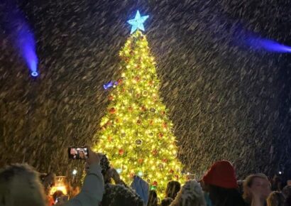 Largest Crowd Ever for Tree Lighting in Millbrook at Village Green
