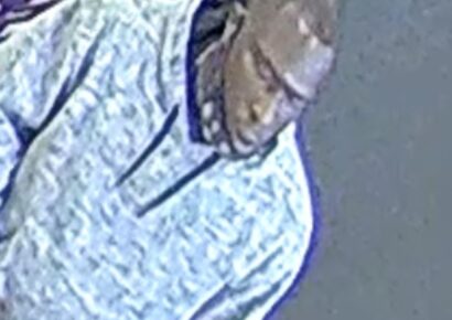 Credit Card Fraud in Prattville: Authorities Need Help to Identify Suspect; Reward Offered