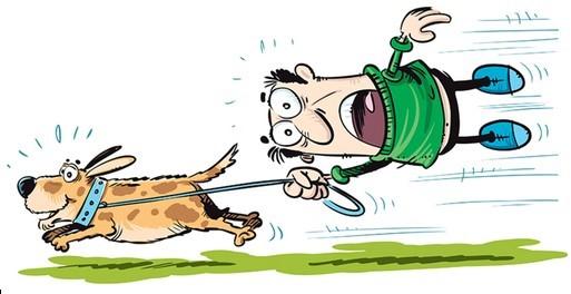 HSEC News: January is National Train Your Dog, Walk Your Pet Month