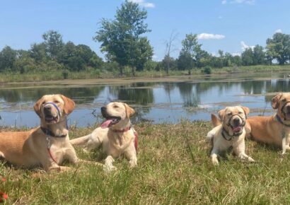 Service Dogs Alabama: American Legion Post 133 to Host Charity Event April 23