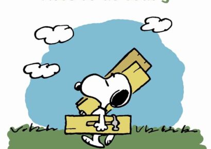 HSEC News: What goes on in our Shelter on a daily basis – 365 day/year?