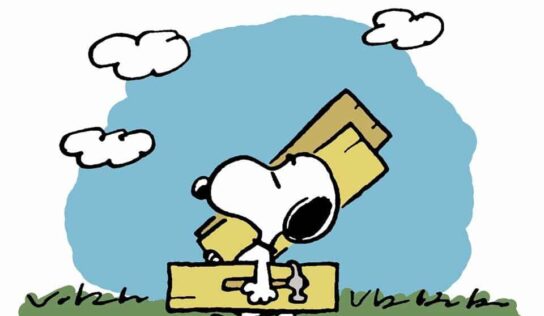 HSEC News: What goes on in our Shelter on a daily basis – 365 day/year?