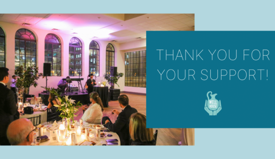6th Annual Grace Gala raises over $130,000 for Human Trafficking Survivors, WellHouse Programs