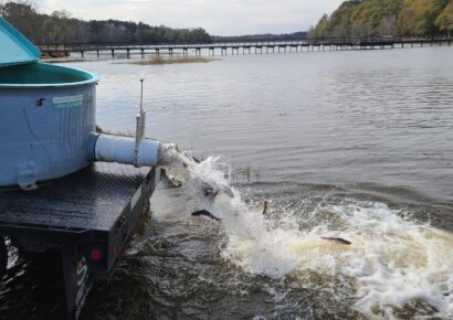 Multi-Year Catfish Project Begins at Frank Jackson State Park