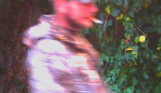 Can You Identify these Suspects? Autauga County Deputies, CrimeStoppers Seeks Help in Burglary Cases