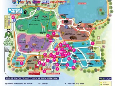 Montgomery Zoo Weekend is coming March 26-27; It might get ‘Wild’ with Fun, Live Entertainment