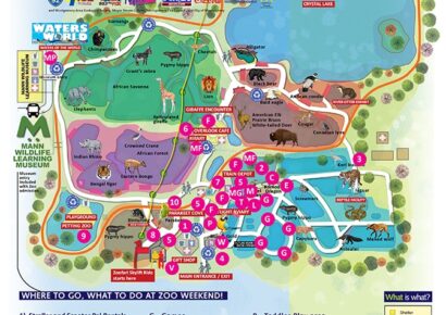 Montgomery Zoo Weekend is coming March 26-27; It might get ‘Wild’ with Fun, Live Entertainment