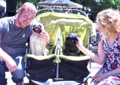 PAHS’ Bark in the Park Sees Biggest Crowd in Recent Memory