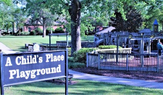 Prattville Council Discusses Upgraded Park, New Fitness Court; Approves over $1 Million