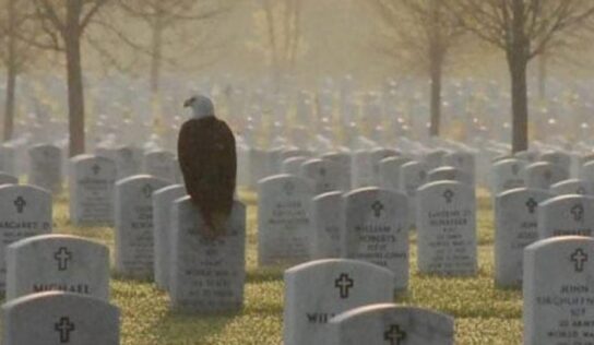 HSEC will be closed for Memorial Day May 30; Remember to reflect on the Reason for this Day