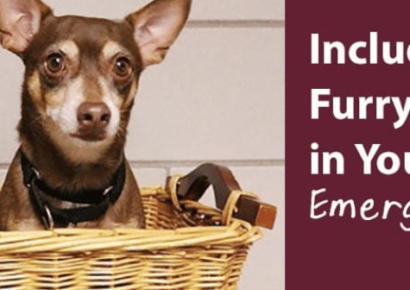 ￼Humane Society of Elmore County News