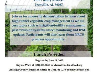 High Tunnel Vegetable Crop Management: Register for Event coming to Prattville June 29