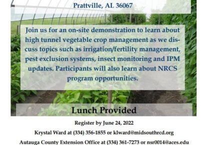 High Tunnel Vegetable Crop Management: Register for Event coming to Prattville June 29