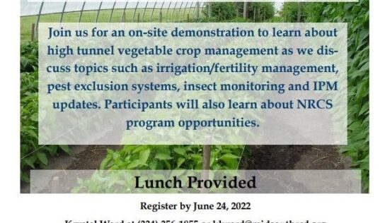 High Tunnel Vegetable Crop Management: Register for Event coming to Prattville June 29
