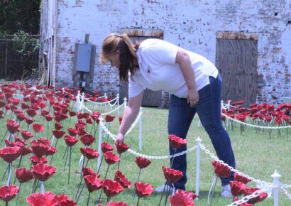 Alabama Poppy Project in Prattville a Labor of Love, says Julianne Hansen