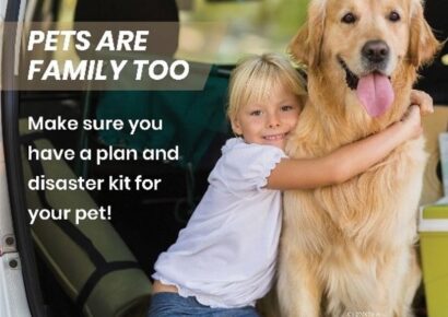 HSEC News: June is National Pet Preparedness Month