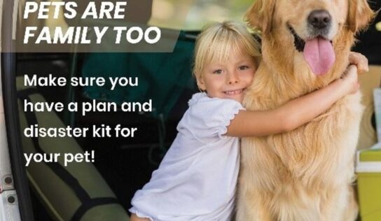 HSEC News: June is National Pet Preparedness Month