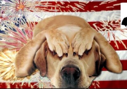 Pets and Fireworks: Take Precautions Now to Keep your Pet safe before the Fireworks start