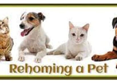 HSEC News: ‘Free to Good Home’ is Sad and all Too Common