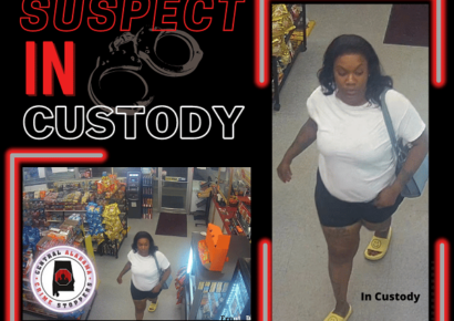 FRAUDULENT USE OF A CREDIT CARD – SUSPECT IN CUSTODY