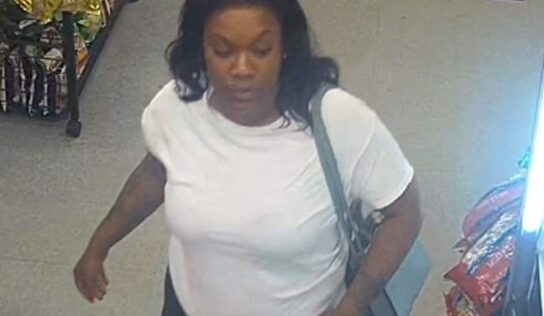 Do You Know this Woman? Millbrook Police investigating Fraudulent use of a Credit Card; Reward offered