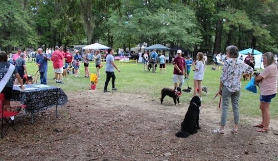 Perfect Weather, Wonderful turnout for Bark in the Park at Fort Toulouse