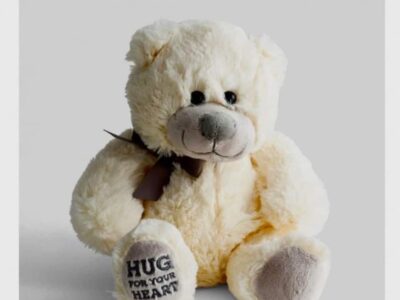 Pre-Order for Hug A Heart Bear fundraiser; Cuddy Bears Offer support to area Children in Need