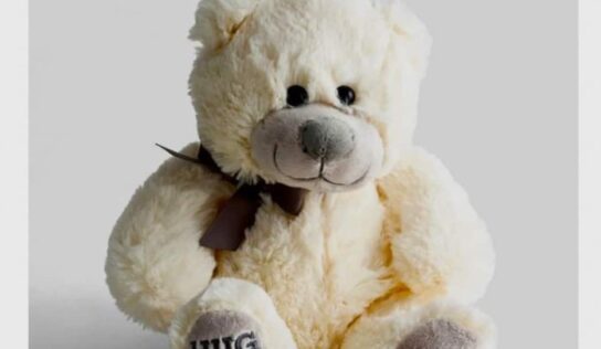 Pre-Order for Hug A Heart Bear fundraiser; Cuddy Bears Offer support to area Children in Need