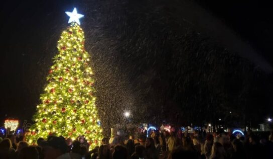 Millbrook’s annual Christmas events will have a Whoville theme; Tree lighting Dec.1 and Parade Dec. 3