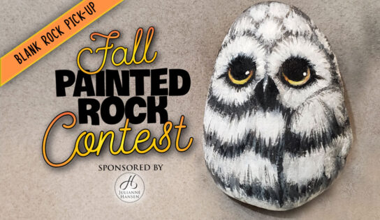 New art contest is Fun, Free and will Feed the Hungry – with Rocks!