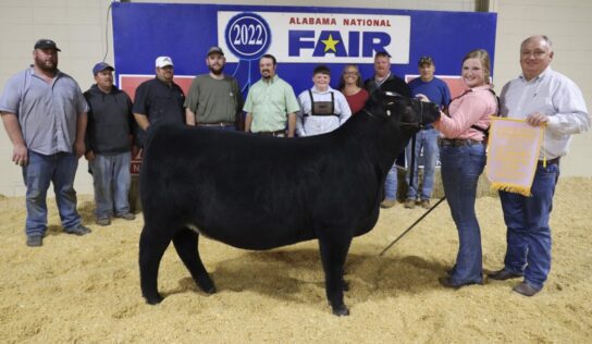Local Youth Shine During Alabama National Fair Livestock Shows