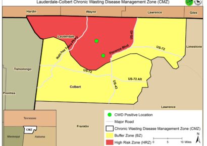 Deer Hunters: Mandatory CWD Testing This Weekend for Lauderdale and Colbert Counties