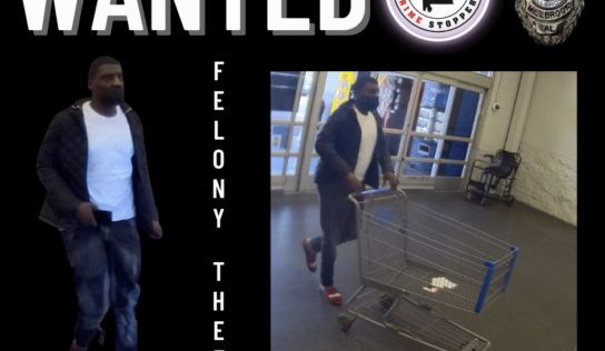 Millbrook PD Seeking identification of Theft Suspect; Reward offered by CrimeStoppers
