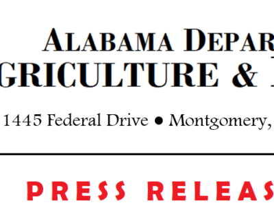 Confirmed Highly Pathogenic Avian Influenza in Non-Commercial Backyard Flock