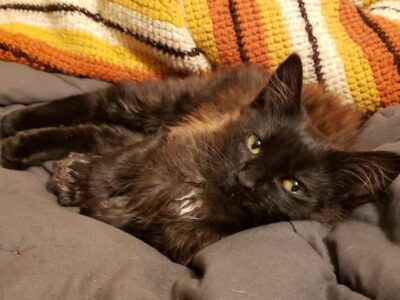 Column: Just checking in on everyone! Here is hoping for a Blessed New Year for all of us!