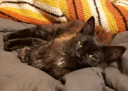 Column: Just checking in on everyone! Here is hoping for a Blessed New Year for all of us!