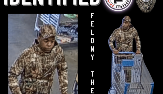 Theft Suspect identified in Millbrook and Arrested